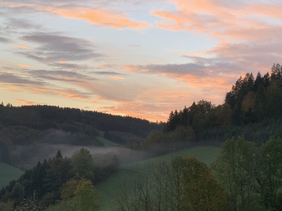 IMG_4612-980x735 im Soma Yoga Freiburg